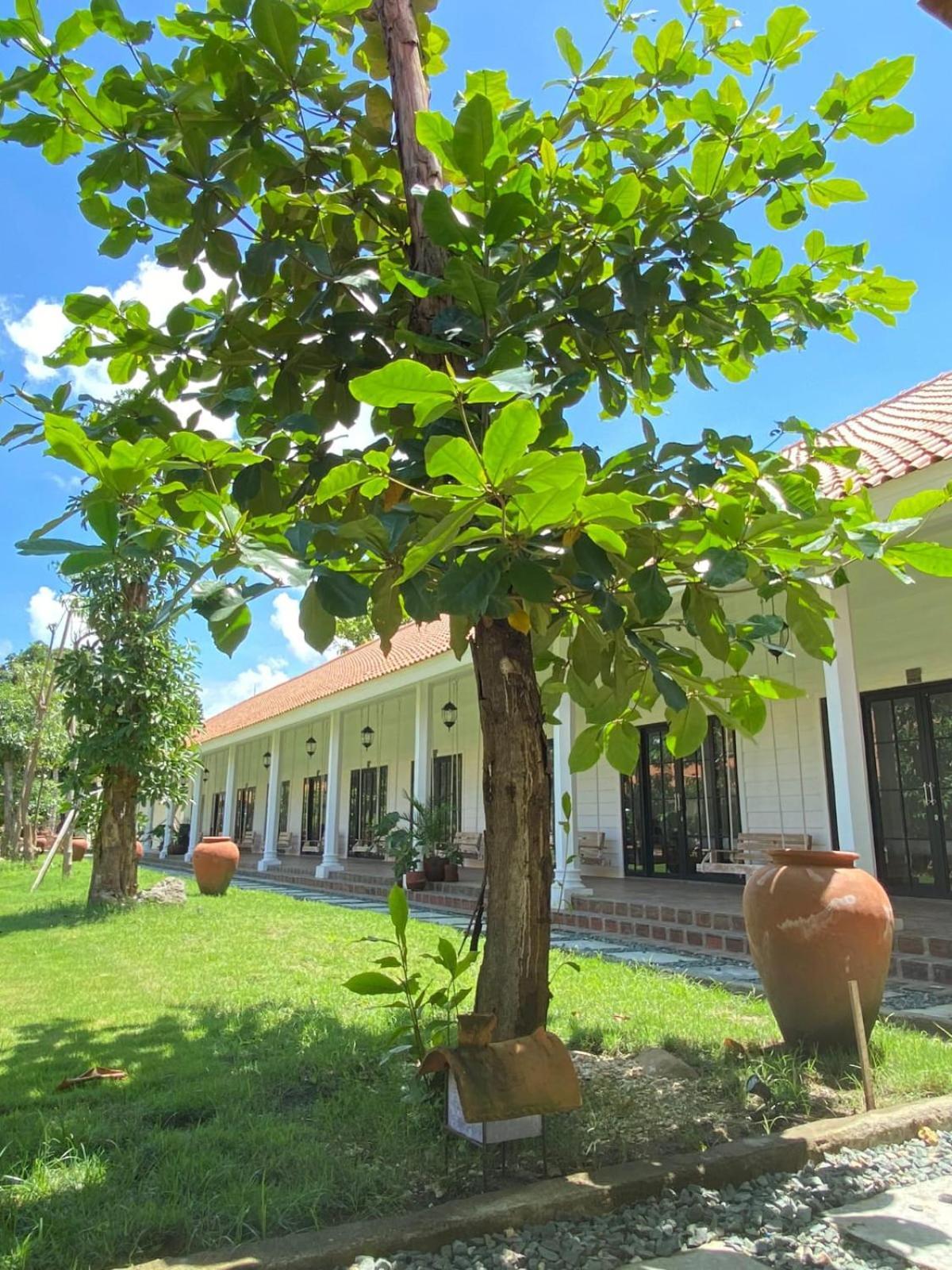 Pasir Putih Resort & Resto Maluk Exterior photo